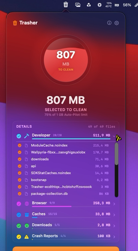Trasher scan results — 807 MB found, Developer junk expanded with file list